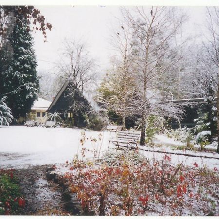 Mountain View Holiday Retreat Хариетвил Екстериор снимка